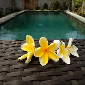*** Гостевой дом Eka Bali Индонезия