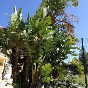 https://molinello-station.sicilyhotelsitaly.net